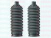 AUTOFREN SEINSA D9200C Bellow Set, steering